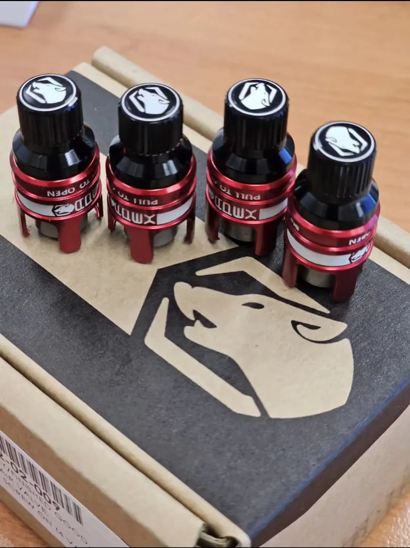 Rapid Connect Valves (RCV)