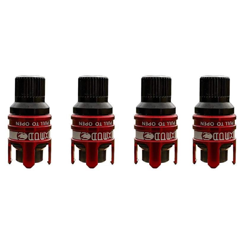 Rapid Connect Valves (RCV)