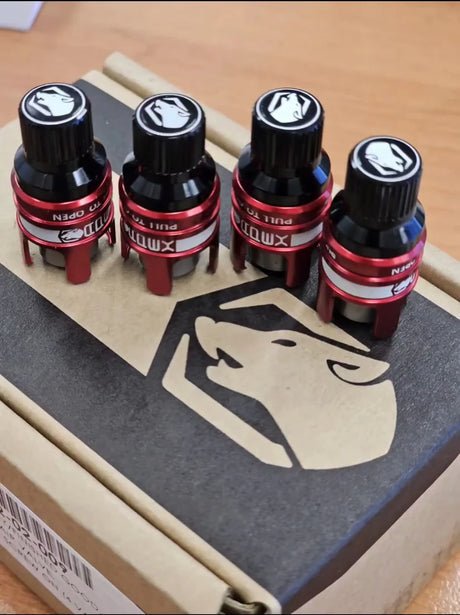 Rapid Connect Valves (RCV)